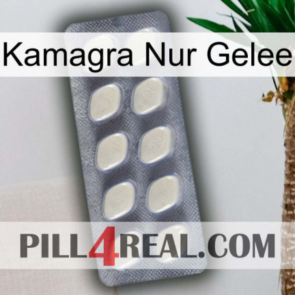 Kamagra Only Jelly 08